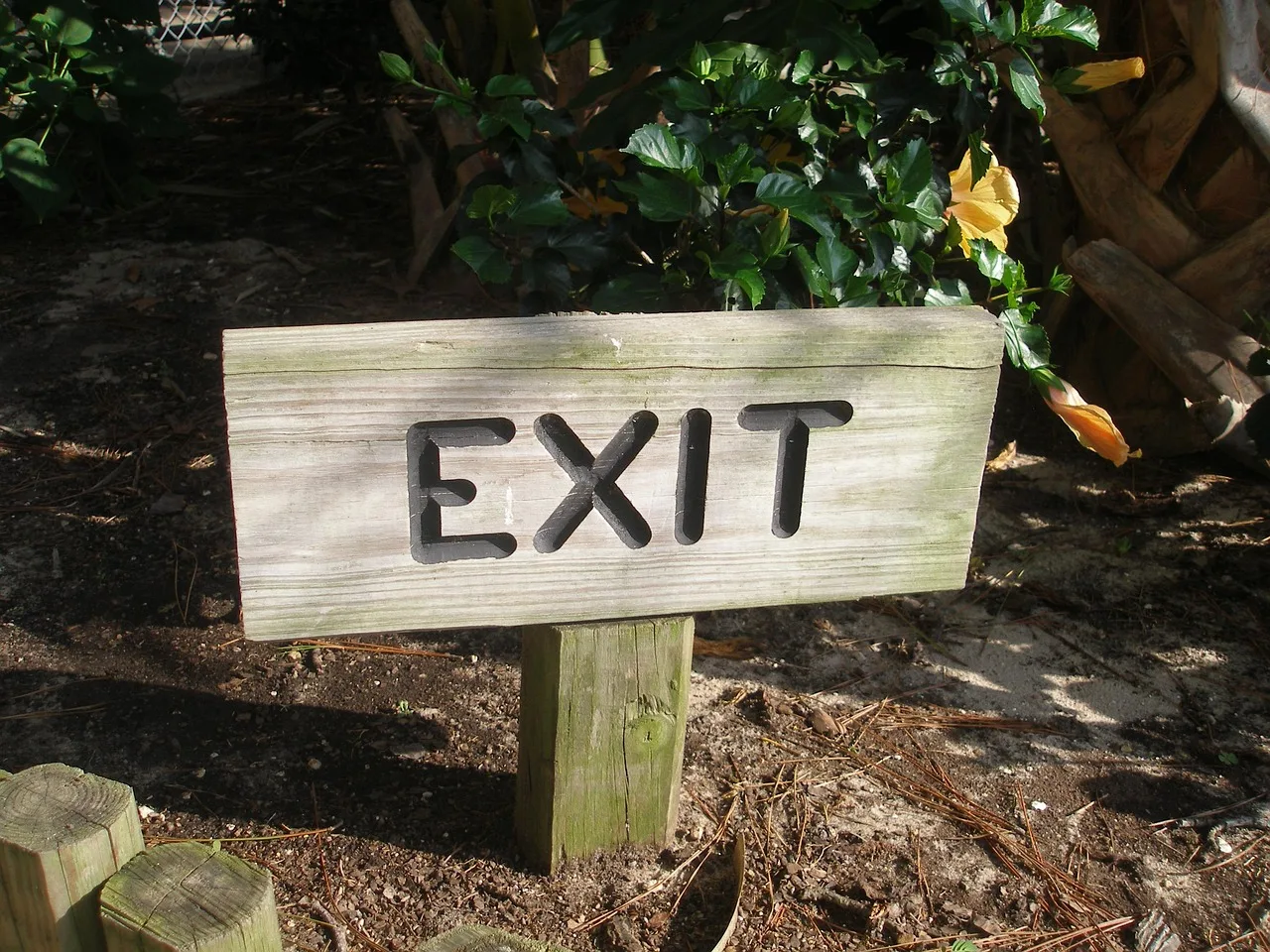 exit, exit sign, post, interesting, sign, symbol, escape, brown email, exit, exit, exit, exit sign, exit sign, exit sign, exit sign, exit sign. Escape room site selection and location reviewed: what holds up and what does not